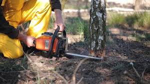 Best Leaf Removal  in East Griffin, GA
