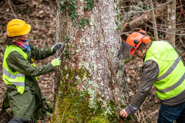 Best Storm Damage Tree Cleanup  in East Griffin, GA
